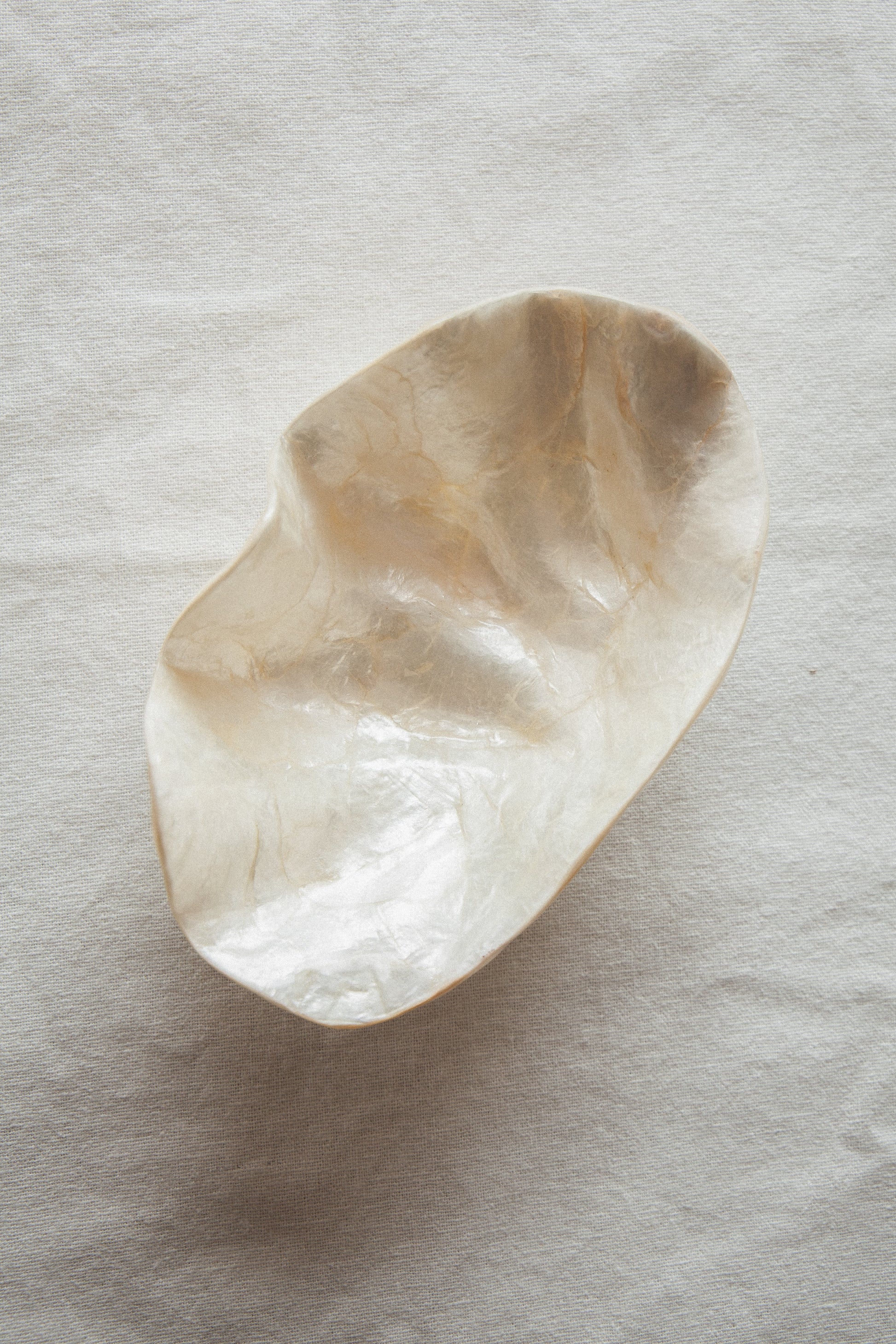 White Shell Ritual Bowl