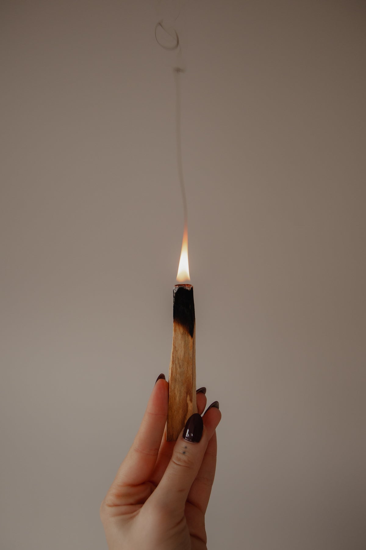 Palo Santo