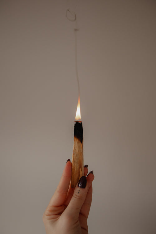Palo Santo