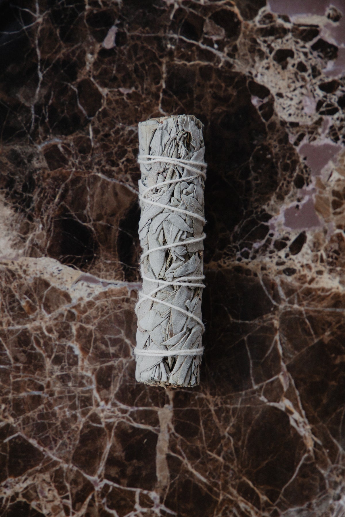 White Sage